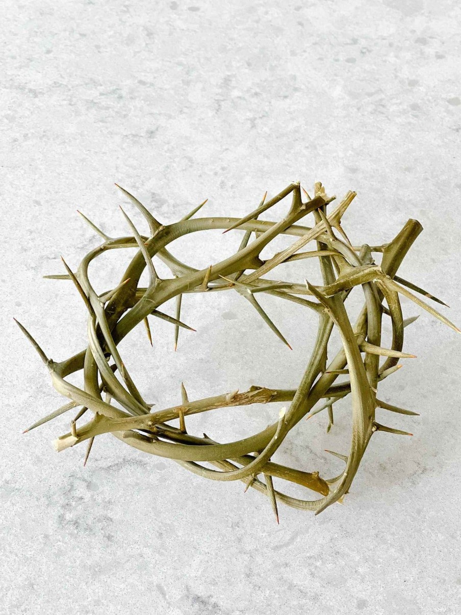 Shop By Occasion Dickson's | Crown Of Thorns